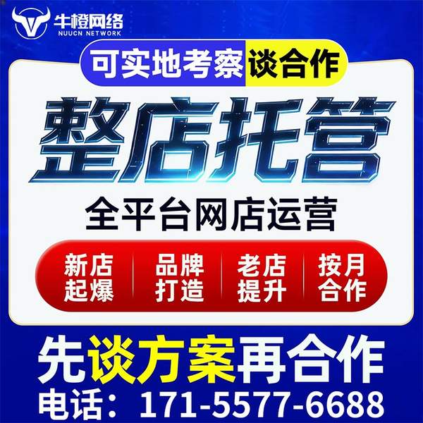 宝鸡电商代运营