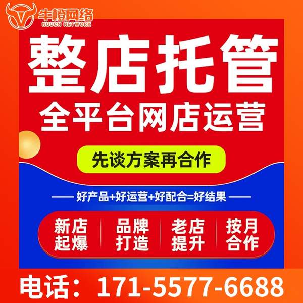 宝鸡电商代运营