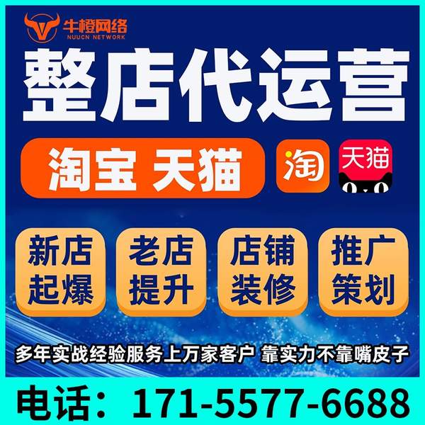 宝鸡电商代运营