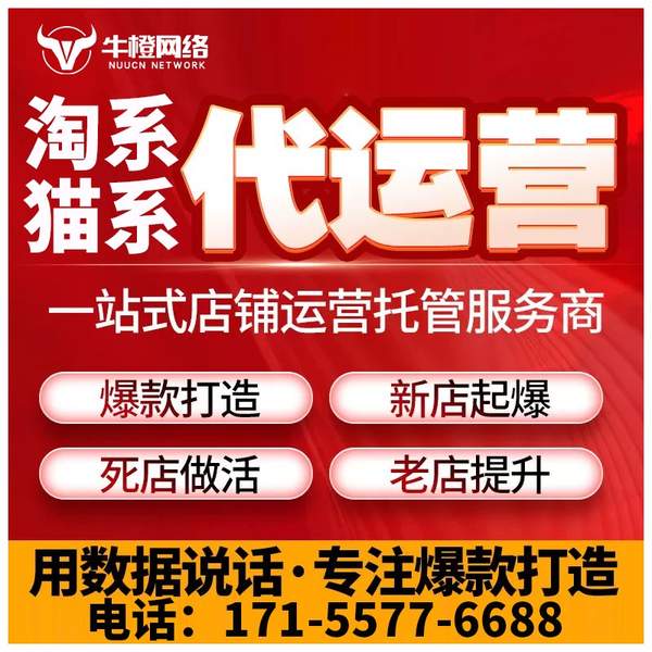 宝鸡电商代运营